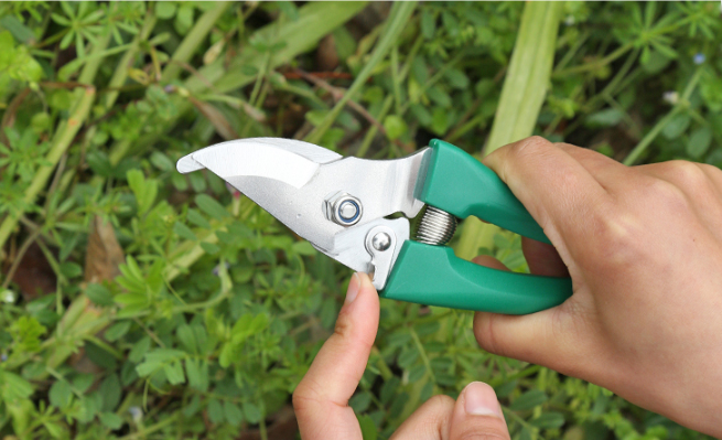 Ten-piece gardening tool set - Tools & Gadgets -  Trend Goods