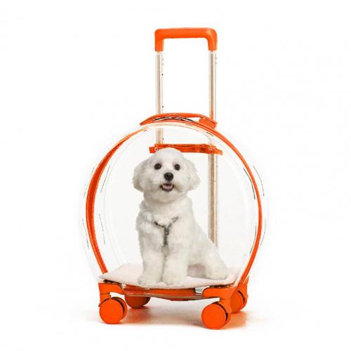 Transparent Poop Pet Dog Trolley Box - Pet Bags -  Trend Goods