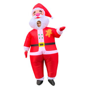 Santa Claus Adult