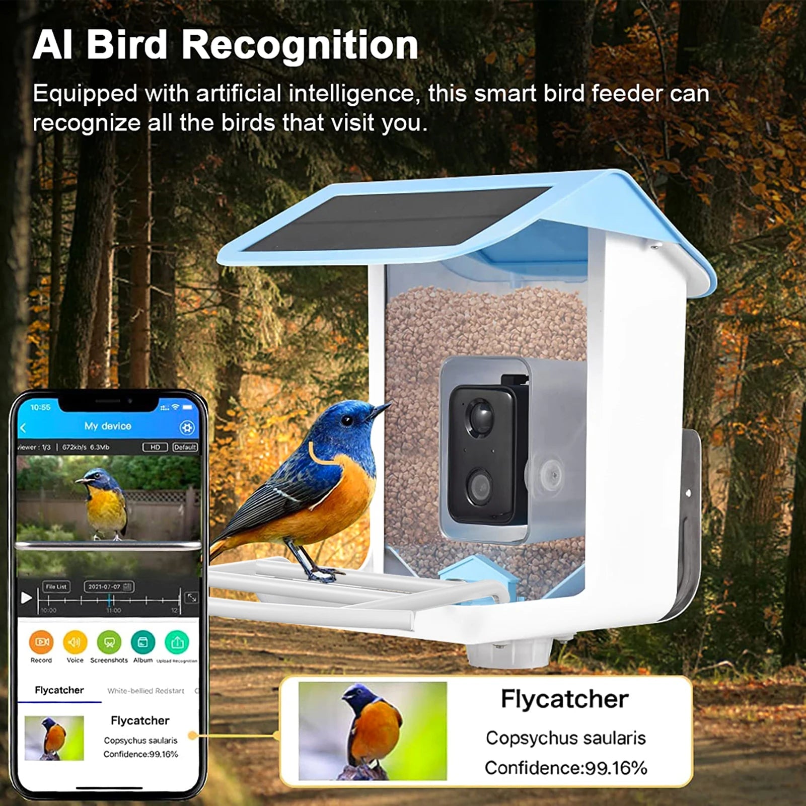 Wireless 1080HD Bird Feeder For Outdoor Bird Watching - Pet Gadgets -  Trend Goods