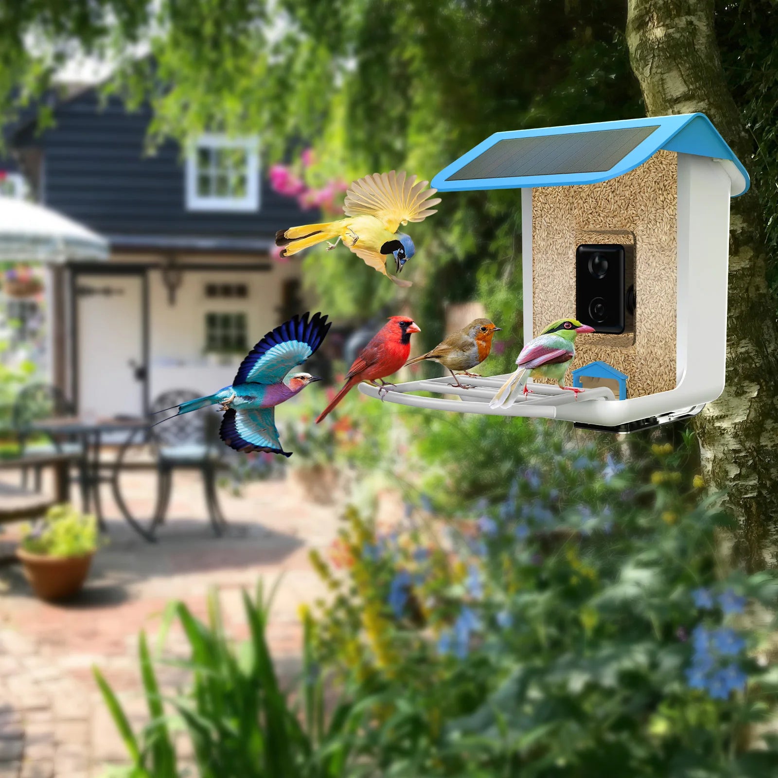 Wireless 1080HD Bird Feeder For Outdoor Bird Watching - Pet Gadgets -  Trend Goods