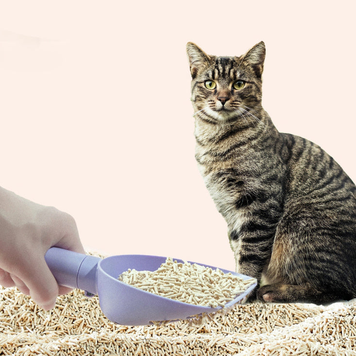 Cat Litter Plastic Shovel Cats Poop Scoop With Base - Pet Care -  Trend Goods