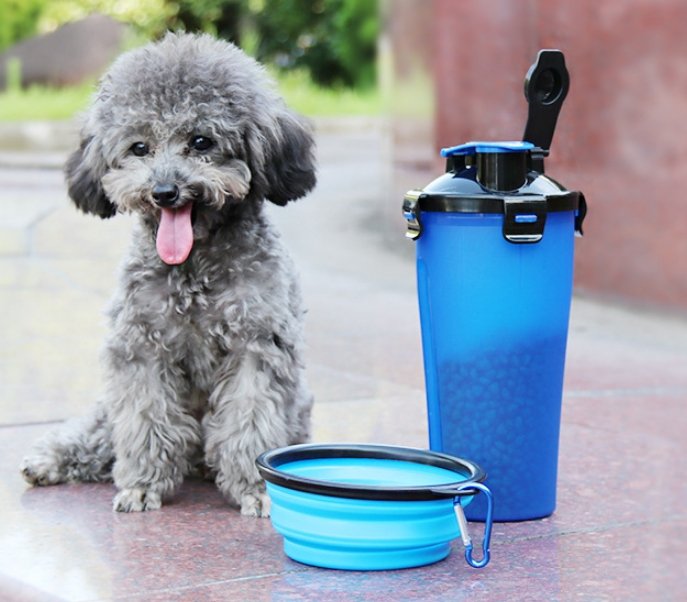 2 In 1 Pet Water Bottle Dispenser Travel Portable Dog Cat Drinking Silicone Bowl - Pet Water Bottles -  Trend Goods