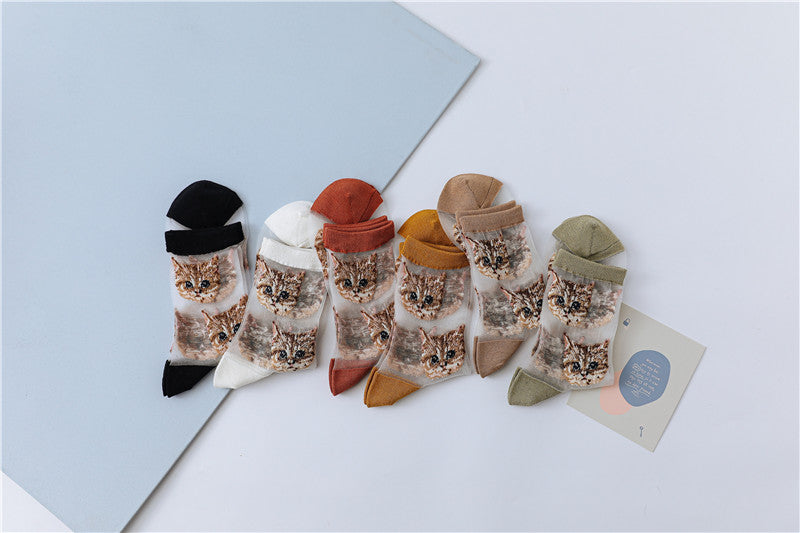 Sweet Glass Silk Cat Figure Stockings - Socks -  Trend Goods