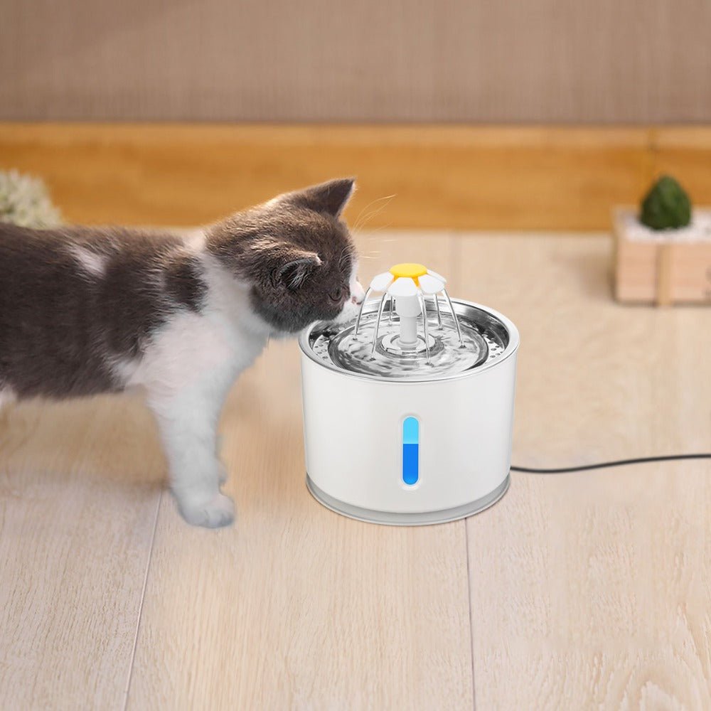 Automatic Pet Cat Water Fountain with LED Light - Automatic Feeders -  Trend Goods