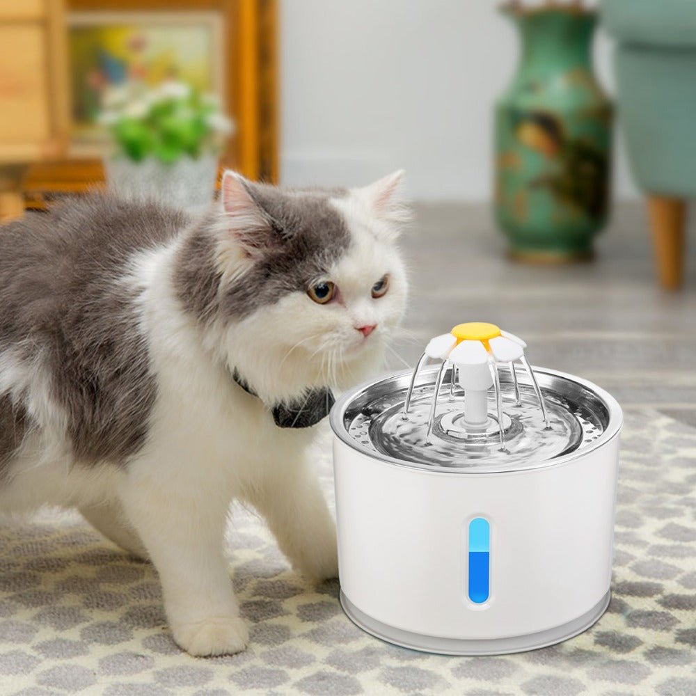 Automatic Pet Cat Water Fountain with LED Light - Automatic Feeders -  Trend Goods