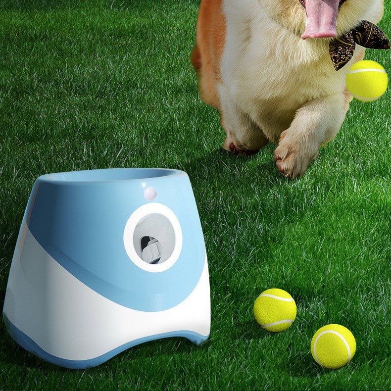 Automatic Throwing Ball Thrower Tennis Launcher Funny Dog Toy - Pet Gadgets -  Trend Goods