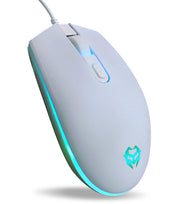 V6 mouse white