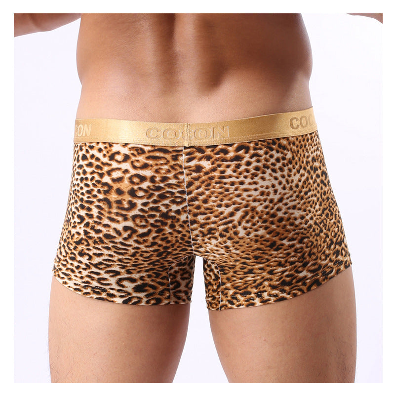 Men's Panties With Gold-rimmed Leopard Print - Boxers -  Trend Goods