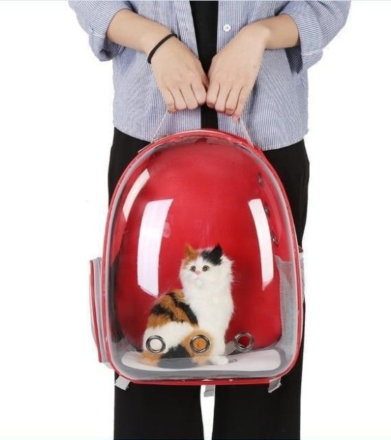 Cat Bag Full Transparent Pet Space Bag - Pet Bags -  Trend Goods