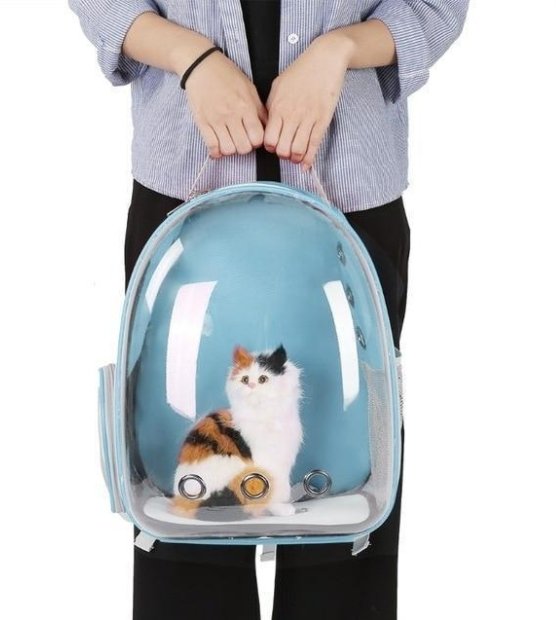 Cat Bag Full Transparent Pet Space Bag - Pet Bags -  Trend Goods