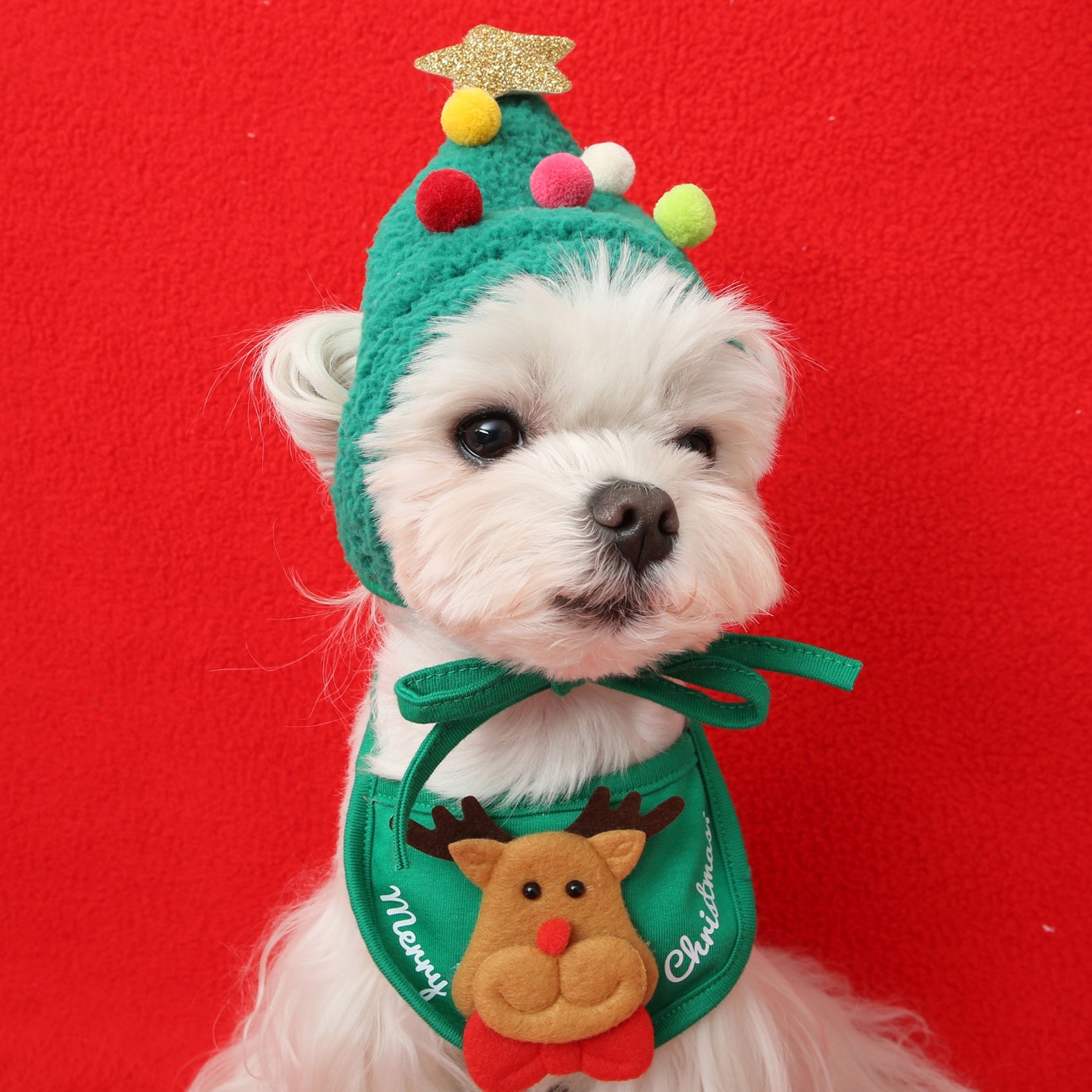 Christmas Cute and Funny Pet-Costumes - Pet Apparel -  Trend Goods