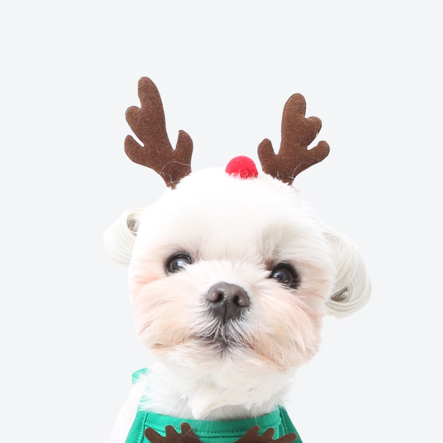 Christmas Cute and Funny Pet-Costumes - Pet Apparel -  Trend Goods