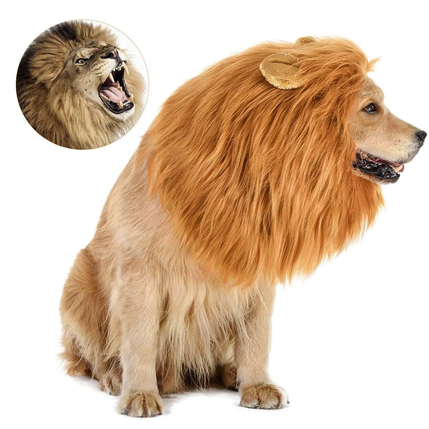 Halloween Pet Wig Funny Lion Head Suit - Pet Apparel -  Trend Goods