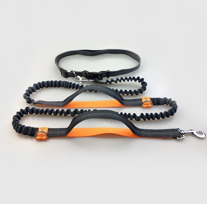 Multi-function running reflective pull dog leash double elastic dog leash traction - Dog Leashes -  Trend Goods