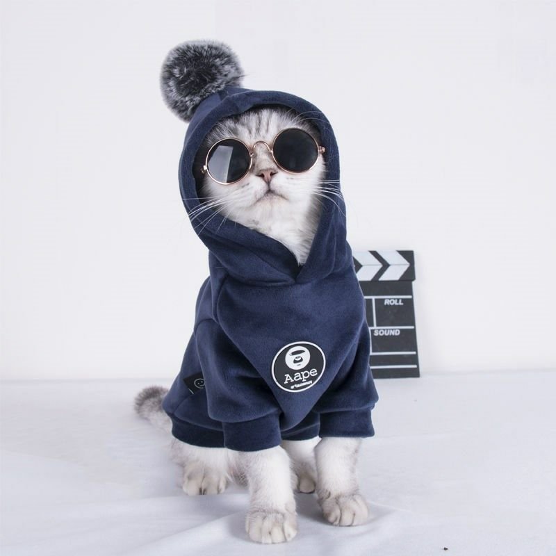Pet Cat Clothes Autumn And Winter Clothes New Trend Sweater - Pet Apparel -  Trend Goods