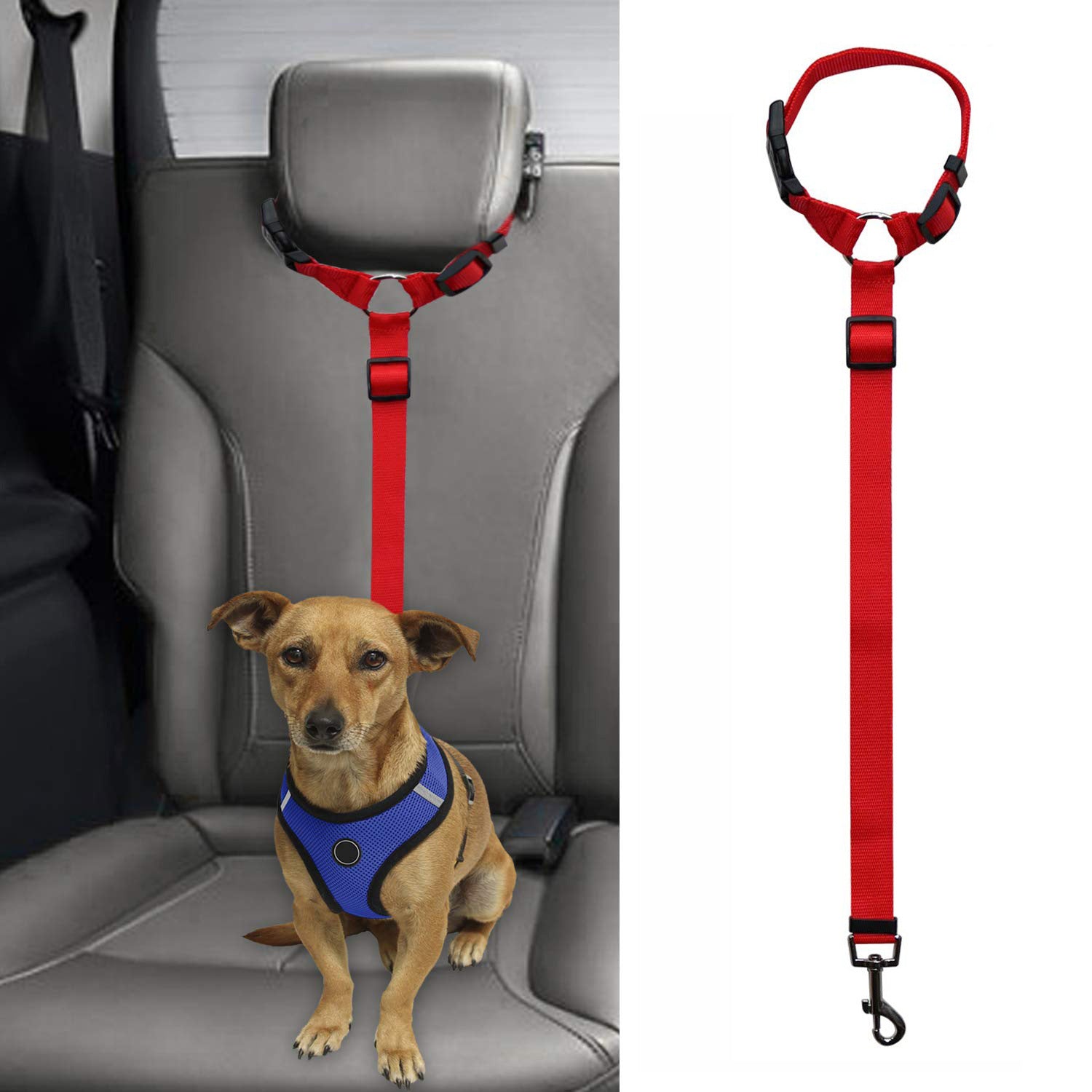 Pet safety leash - Pet Car Accessories -  Trend Goods