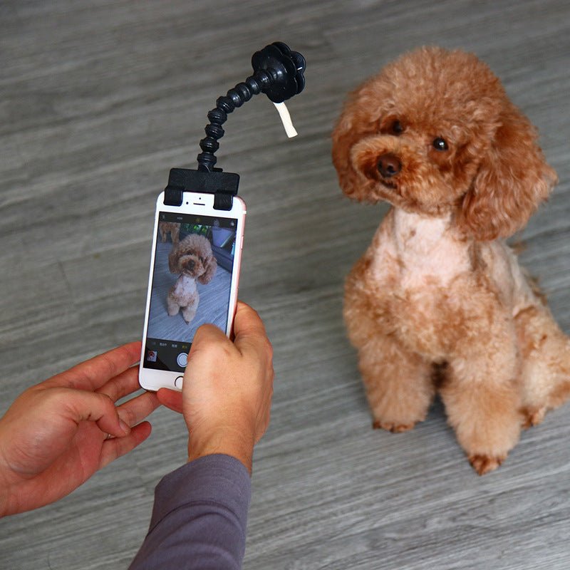 Pet Selfie Stick - Pet Selfie -  Trend Goods