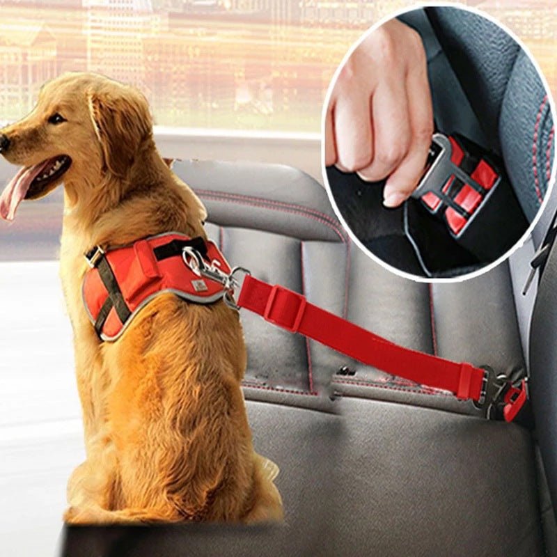 Telescopic Traction Rope For Pet Car Seat Belt - Pet Car Accessories -  Trend Goods